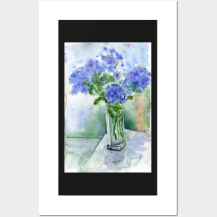Plumbago from our garden Posters and Art